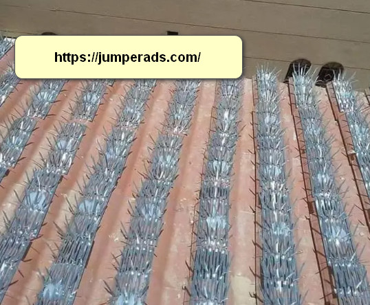 شركة تركيب طارد حمام بالخرج