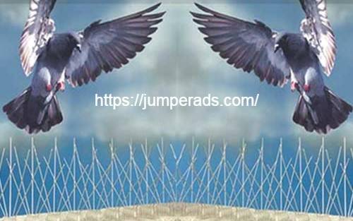 شركة تركيب طارد الحمام بالاحساء