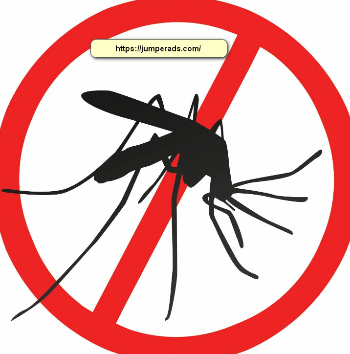 شركة مكافحة النمل الابيض بالرياض