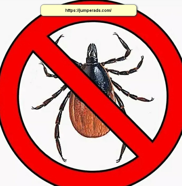 شركة مكافحة بق الفراش بالرياض