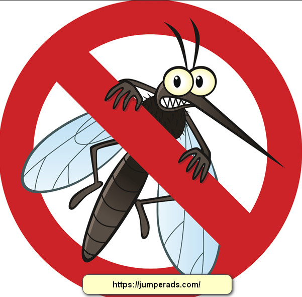 مكافحة حشرات بالقطيف